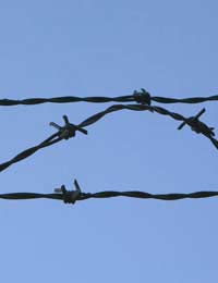 Barbed Wire intruder burgled burglars